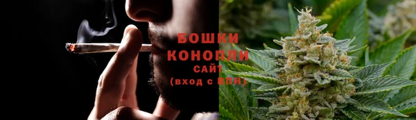 ГАЛЛЮЦИНОГЕННЫЕ ГРИБЫ Баксан
