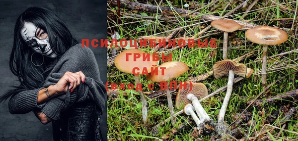 ГАЛЛЮЦИНОГЕННЫЕ ГРИБЫ Баксан