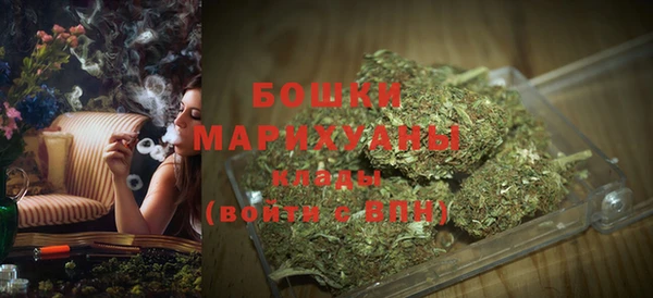 сатива Балахна