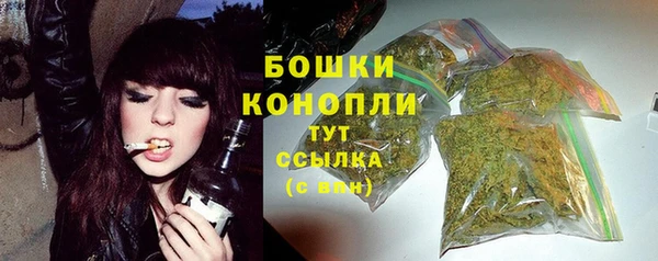 spice Арсеньев