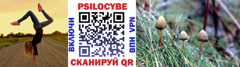 Галлюциногенные грибы GOLDEN TEACHER Мглин